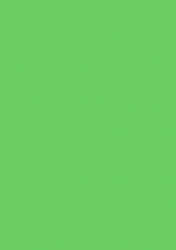 Herlitz - Karton světle-zelený oboustranný