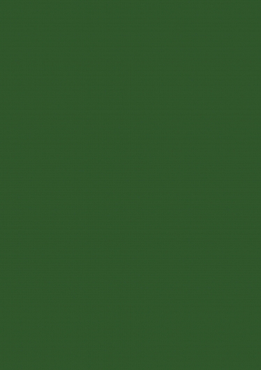 Herlitz - Karton tmavě-zelený oboustranný